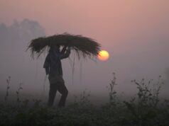 Ako sa iránska kríza vlečie, obavy z globálnej potravinovej krízy rastú | Americko-izraelská vojna proti Iran News Ako sa iránska kríza vlečie, obavy z globálnej potravinovej krízy rastú | Americko-izraelská vojna proti Iran News