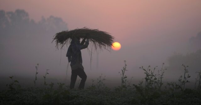 Ako sa iránska kríza vlečie, obavy z globálnej potravinovej krízy rastú | Americko-izraelská vojna proti Iran News
