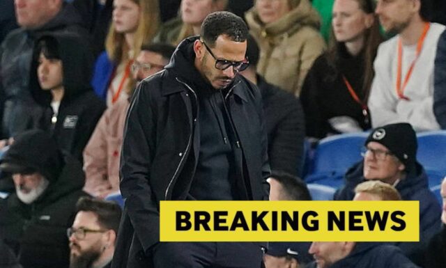 Callum McFarlane vymenoval za nového hlavného trénera Chelsea Liama ​​Roseniora
