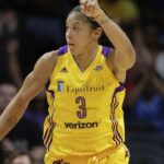 Candace Parker vedie triedu Basketbalovej siene slávy 2026