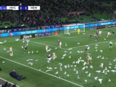 Chaos v hre A-League, keď kŕdeľ čajok zastaví hru inváziou na ihrisku Čajky na ihrisku