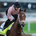 Syndikácia: The Courier-Journal