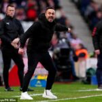 Vultures budú obiehať N17 dlho pred posledným dňom sezóny, ak Roberto De Zerbi nedokáže oživiť túto zúfalú kampaň Tottenhamu