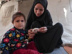 Druhý front Gazy: Boj proti potkanom prenášajúcim choroby | Správy o konflikte medzi Izraelom a Palestínou Druhý front Gazy: Boj proti potkanom prenášajúcim choroby | Správy o konflikte medzi Izraelom a Palestínou