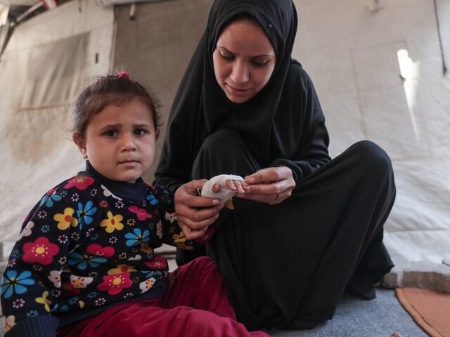 Druhý front Gazy: Boj proti potkanom prenášajúcim choroby | Správy o konflikte medzi Izraelom a Palestínou
