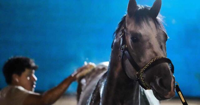 Fulleffort je najnovší skreč z Kentucky Derby, dodal Ocelli
