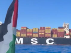 Global Sumud Flotilla prerušila nákladnú loď smerujúcu do Izraela | Newsfeed Global Sumud Flotilla prerušila nákladnú loď smerujúcu do Izraela | Newsfeed