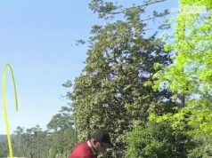 Golfoví fanúšikovia žiadajú bývalého šampióna Masters, aby mu boli odobraté celoživotné privilégiá za jeho správanie v auguste Sergio Garcia zaútočil po tom, čo trafil zlú jazdu na Matsers - a fanúšikovia volajú po zákaze