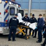 Ako je vidieť na záberoch, ktoré zaznamenal Jon Hewett z WWJ 950, hráča, ktorý bol neskôr identifikovaný ako Elliota Cadeaua, vzali na nosidlách z tréningového zariadenia v Michigane v Ann Arbor.