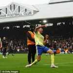 Southampton je späť vo štvrťfinále FA Cupu, keď v poslednom kole vyradil Fulham z Premier League vďaka penalte Rossa Stewarta.