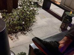 Hviezda NFL Tez Johnson jemne spustila novú romantiku dva mesiace po tom, čo bola zachytená v škaredom škandále s podvádzaním Zdá sa, že hviezda Tampa Bay Buccaneers Tez Johnson jemne spustila novú romantiku na Instagrame