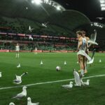 MELBOURNE, AUSTRÁLIA - 17. apríla: Lachlan Bayliss z Jets je obklopený čajkami, keď sa pripravuje na voľný kop počas zápasu 25. kola A-League mužov medzi Melbourne Victory a Newcastle Jets v AAMI Parku 17. apríla 2026 v austrálskom Melbourne. (Foto Robert Cianflone/Getty Images)