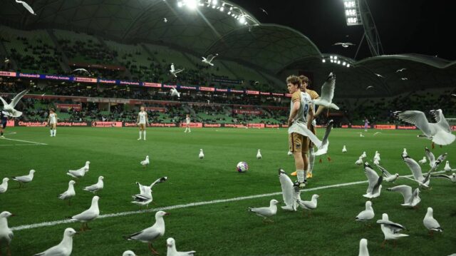 MELBOURNE, AUSTRÁLIA - 17. apríla: Lachlan Bayliss z Jets je obklopený čajkami, keď sa pripravuje na voľný kop počas zápasu 25. kola A-League mužov medzi Melbourne Victory a Newcastle Jets v AAMI Parku 17. apríla 2026 v austrálskom Melbourne. (Foto Robert Cianflone/Getty Images)