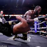 Široká je priepasť naštrbená mojím tvrdením, že neutíchajúci úlet medzi Derekom Chisorom a Deontayom Wilderom minulý týždeň môže byť zápasom ťažkej váhy tohto 21. storočia.