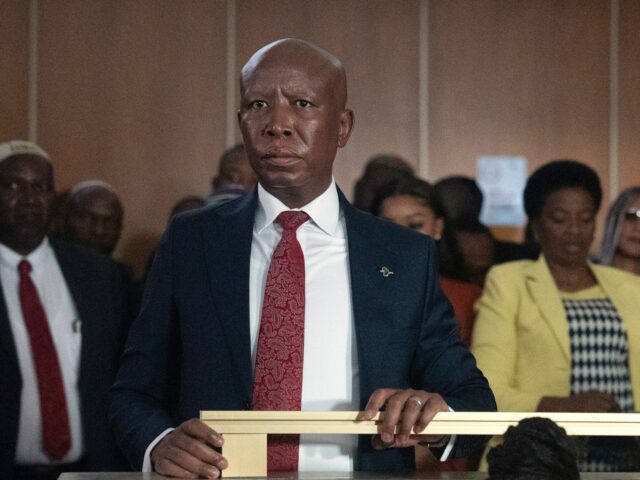 Juhoafrický politik Julius Malema odsúdený na väzenie za streľbu zo zbrane | Súdne správy
