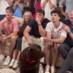 Pes Oscara Delpa z Georgie ukradol výstavu, keď bol vybraný do návrhu NFL