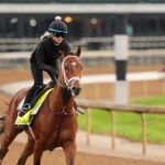 Kto vyhrá Kentucky Derby? Tohtoročné preteky nemajú favorita