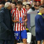 Le Normand o incidente v Martine