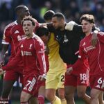 Liverpool sa konečne dostal na pravú stranu neskorej drámy, keď Virgil van Dijk strelil 100. minútu víťaza proti Evertonu a posunul tím Arneho Slotu na pokraj kvalifikácie Ligy majstrov, píše IAN LADYMAN