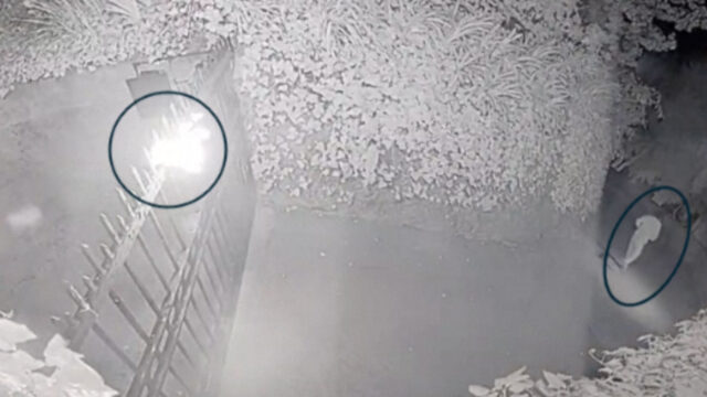 Muž obvinený z pokusu o vraždu generálneho riaditeľa OpenAI Sama Muž obvinený z pokusu o vraždu generálneho riaditeľa OpenAI Sama Altmana | Správy