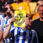 Fanúšikovia Sheffield Wednesday boli v tejto sezóne vystavení zvoneniu - ale zdá sa, že ich utrpenie sa môže čoskoro skončiť