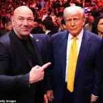 Bojová noc UFC v Bielom dome bude mať podobnú úroveň zabezpečenia ako Super Bowl