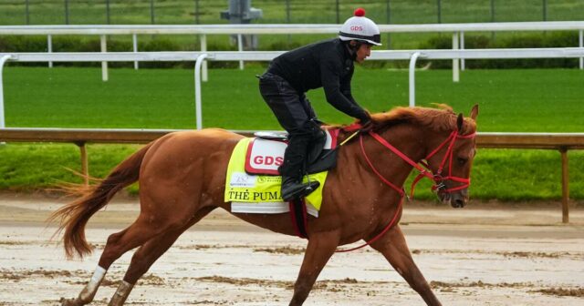 Rodák z LA Brian Kahn bol nadšený, že vyšľachtil koňa Kentucky Derby
