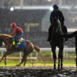 Silent Tactic z Kentucky Derby, Great White je teraz v poli