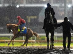 Silent Tactic z Kentucky Derby, Great White je teraz v poli Silent Tactic z Kentucky Derby, Great White je teraz v poli