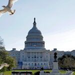 Snemovňa Spojených štátov amerických hlasovala o predĺžení dočasnej ochrany pre Haiťanov po Trumpovom pokarhaní | Správy o migrácii