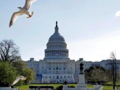 Snemovňa Spojených štátov amerických hlasovala o predĺžení dočasnej ochrany pre Haiťanov po Trumpovom pokarhaní | Správy o migrácii Snemovňa Spojených štátov amerických hlasovala o predĺžení dočasnej ochrany pre Haiťanov po Trumpovom pokarhaní | Správy o migrácii