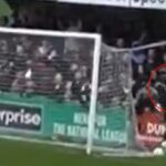 Na záberoch je údajne vidieť, ako brankár Enfield Town Joe Wright „bije fanúšika“