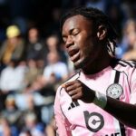 Sovy kreslia „prísavný úder“ v boji líšok o prežitie