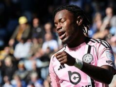 Sovy kreslia „prísavný úder“ v boji líšok o prežitie Sovy kreslia „prísavný úder“ v boji líšok o prežitie