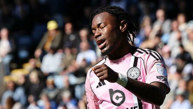 Sovy kreslia „prísavný úder“ v boji líšok o prežitie
