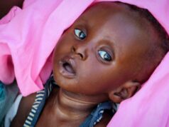 Takmer osem miliónov ľudí v Južnom Sudáne ohrozených akútnym hladom: mimovládne organizácie | Správy o konflikte Takmer osem miliónov ľudí v Južnom Sudáne ohrozených akútnym hladom: mimovládne organizácie | Správy o konflikte