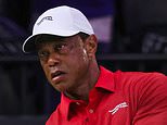Tiger Woods odstúpil z funkcie kapitána amerického Ryder Cupu v roku 2027 po tom, čo vyhľadal pomoc po zatknutí pod vplyvom alkoholu Tiger Woods odstúpil z funkcie kapitána amerického Ryder Cupu v roku 2027 po tom, čo vyhľadal pomoc po zatknutí pod vplyvom alkoholu