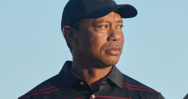 Tiger Woods sa nepriznal voči DUI a povedal, že „vyhľadá liečbu“
