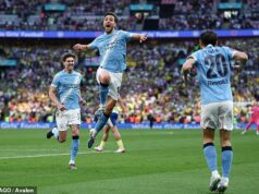 Tipujúci Sky Bet premení 1 £ na 93 000 £ s neuveriteľným 15-násobným prírastkom Poraziť Manchester City Southampton v sobotňajšom semifinále FA Cupu bolo jedným z 15 zápasov zahrnutých v akumulácii.