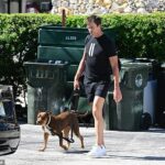 Legenda NFL Tom Brady videl v stredu opúšťať posilňovňu v Miami po boku svojho psa Junie