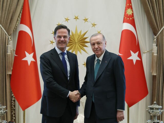 Turkiye sa snaží oživiť rusko-ukrajinské rozhovory, hovorí Erdogan | Správy o vojne medzi Ruskom a Ukrajinou
