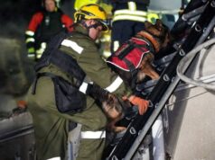 Ukrajinský manželský pár vo veku 75 rokov zahynul pri ruskom útoku na Odesu | Správy o vojne medzi Ruskom a Ukrajinou Ukrajinský manželský pár vo veku 75 rokov zahynul pri ruskom útoku na Odesu | Správy o vojne medzi Ruskom a Ukrajinou