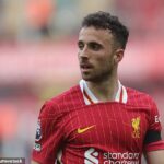 Španielsky súd zamietol trestné stíhanie v súvislosti s autonehodou, ktorá viedla k smrti Dioga Jotu