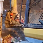 Záchranári pátrajú po preživších po útokoch na domy v Iráne | Americko-izraelská vojna proti Iránu