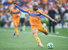 Zostavy pripravené na Seattle – Tigres Download app from appStore