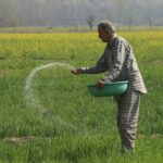 „Všetko závisí od úrody“: Kríza v Perzskom zálive zasiahla poľnohospodárov v južnej Ázii | Správy o poľnohospodárstve