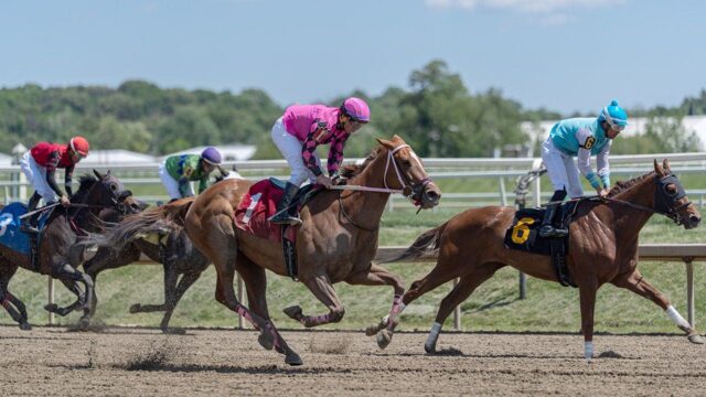 2026 Preakness Stakes: Kurzy, čas uverejnenia a ako sa pozerať v Laurel Parku
