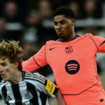 Newcastle United proti West Ham United - Premier League