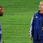 Raymond Domenech brutálne zhodnotil jeho francúzsky tím na majstrovstvách sveta 2010, pričom Nicolas Anelka označil tréner za „úplného debila“.