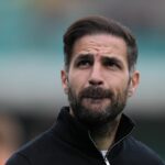 Cesc Fabregas